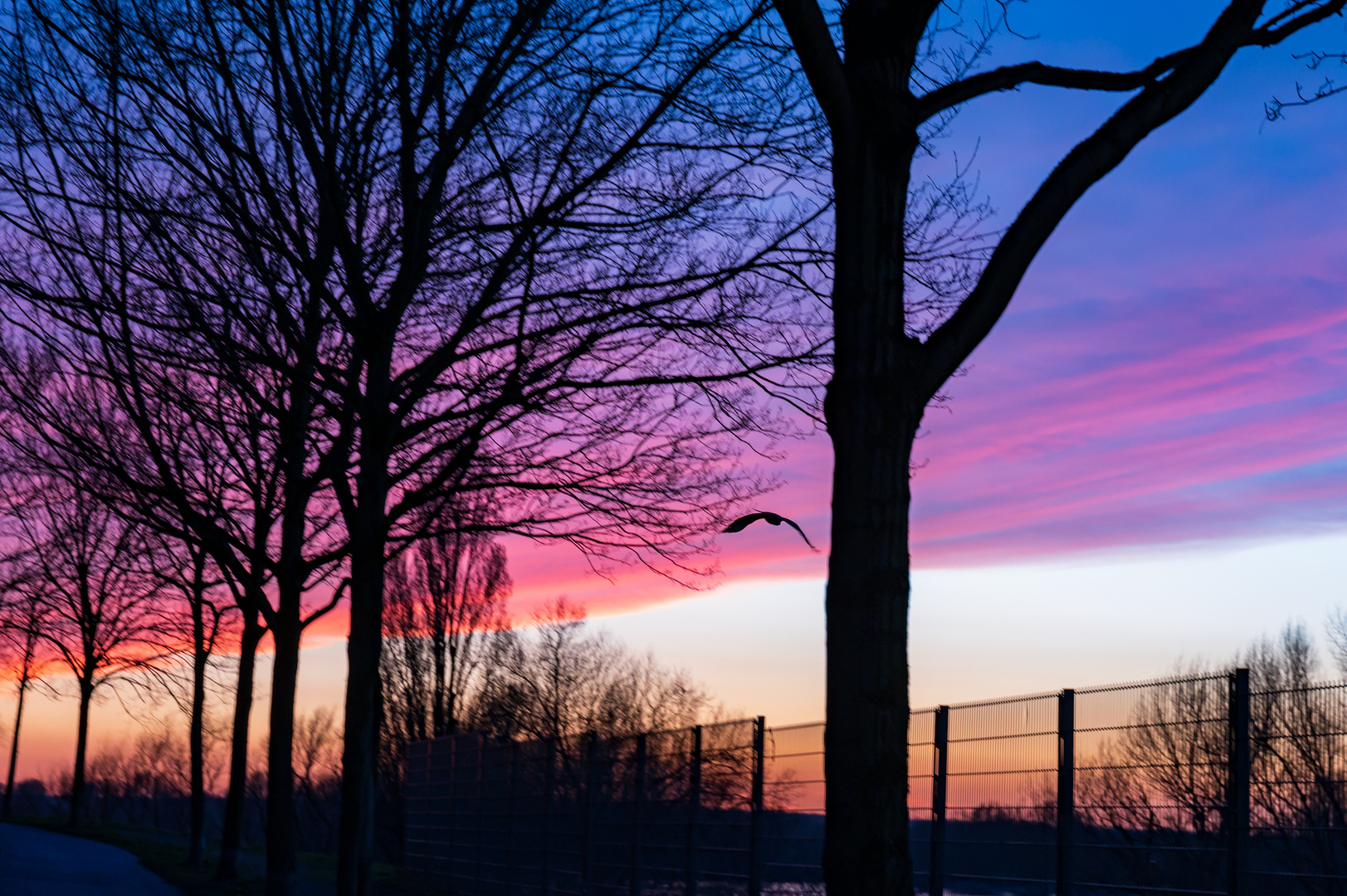 Sonnenuntergang Spezial