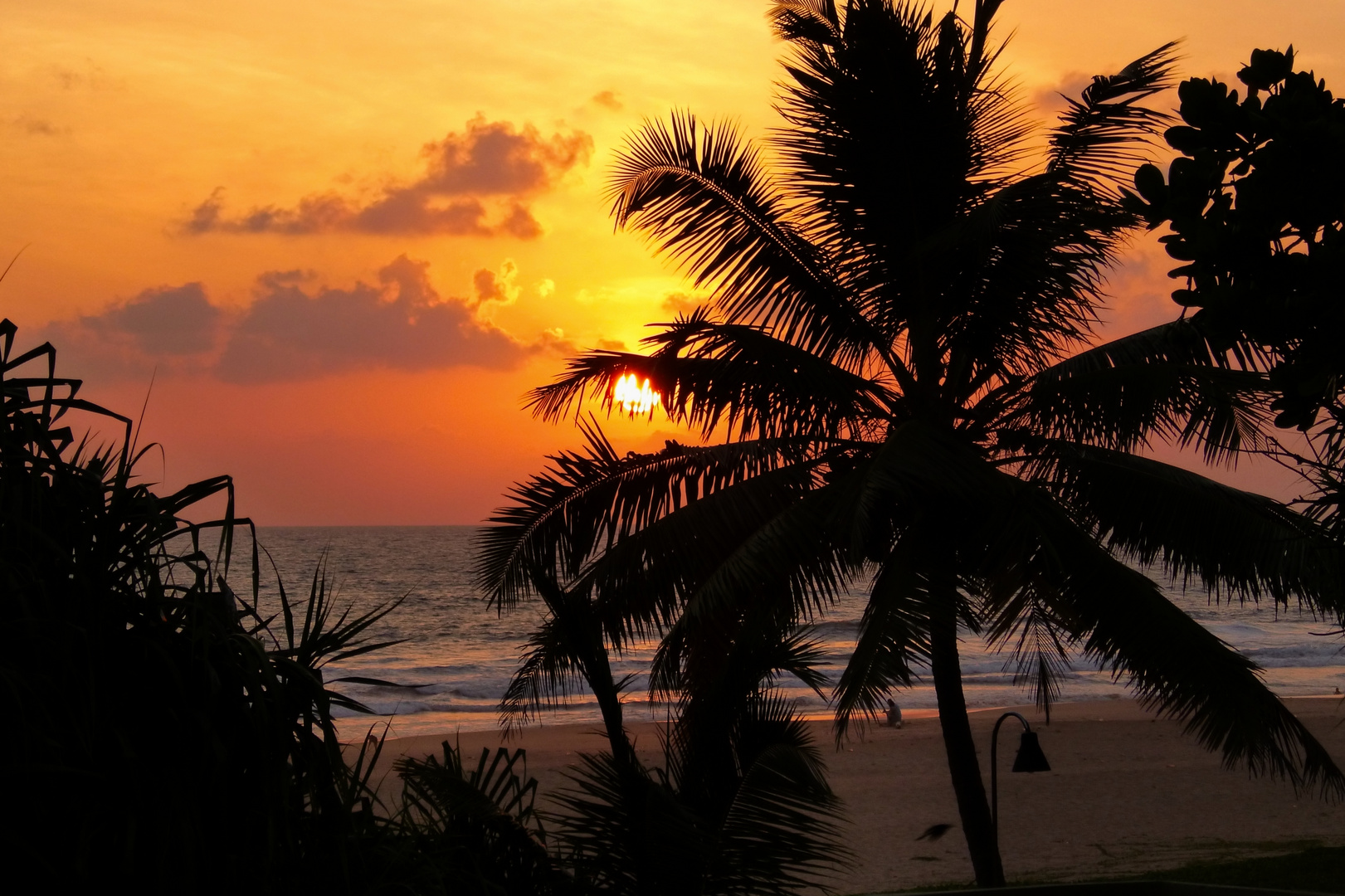 Sonnenuntergang - Sri Lanka