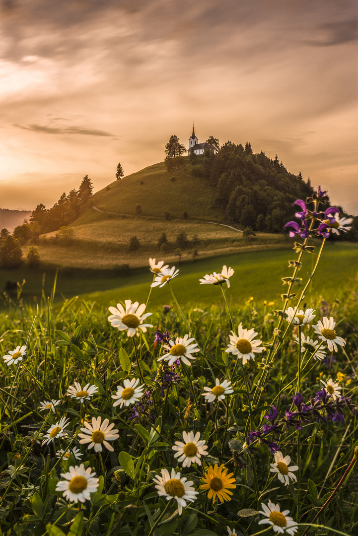 Sonnenuntergang St. Jacob-Ljubljana Slowenien