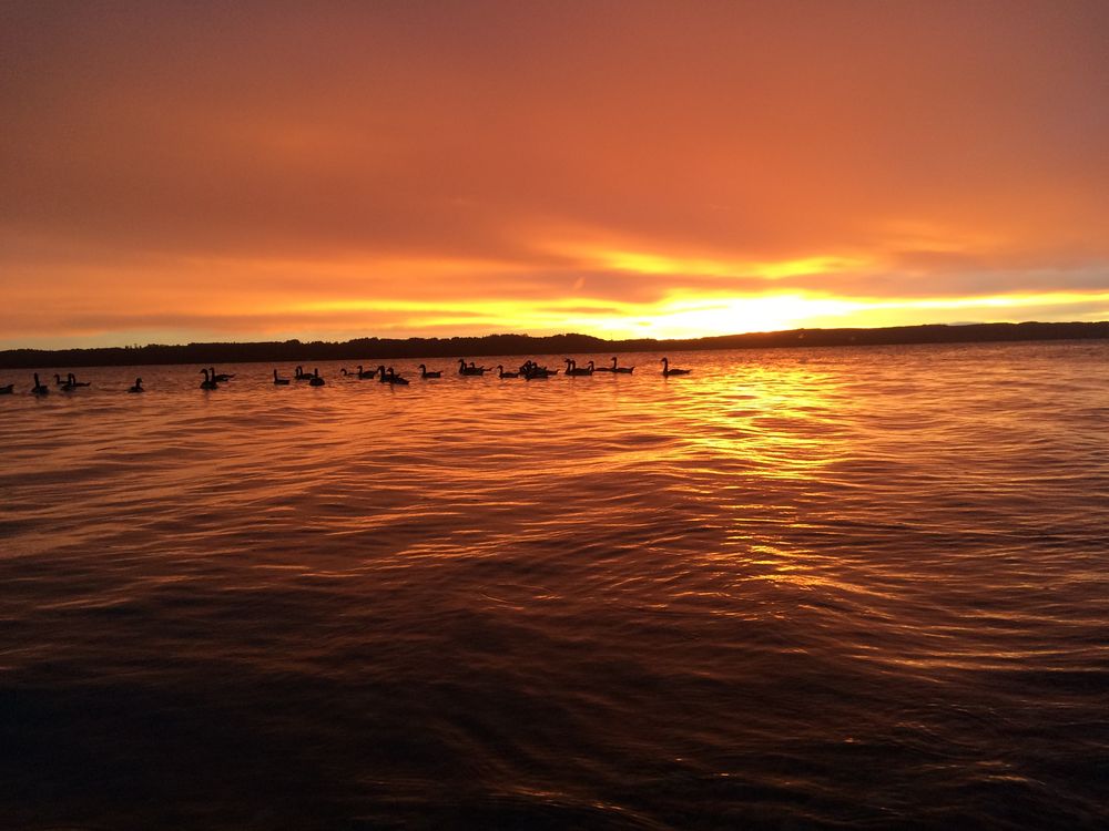 Sonnenuntergang Starnberger See