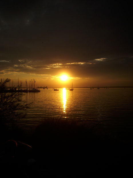 Sonnenuntergang - Steinhuder Meer