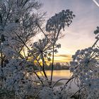 Sonnenuntergang Steinhuder Meer Großenheidorn