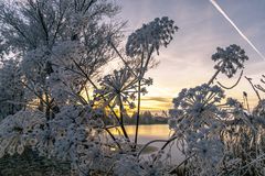 Sonnenuntergang Steinhuder Meer Großenheidorn