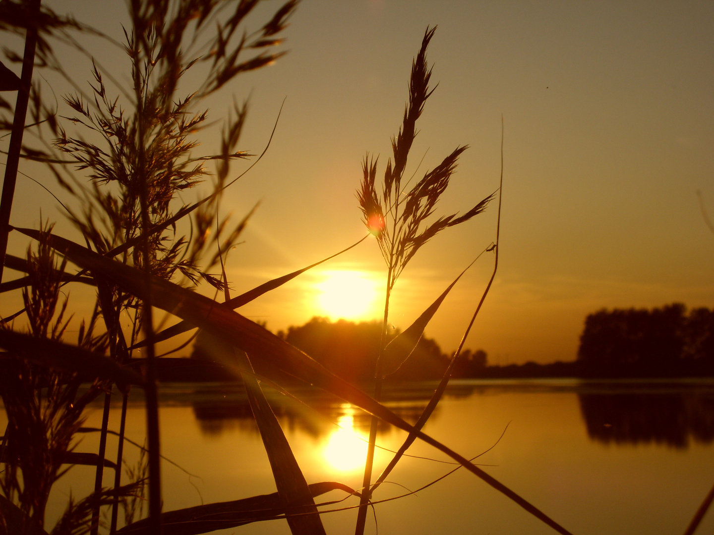 Sonnenuntergang - "Stille"