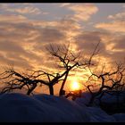 Sonnenuntergang St.Johann i.T.