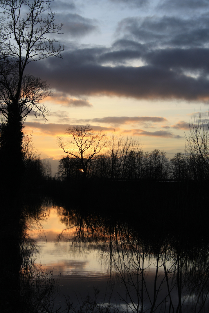 Sonnenuntergang Stör