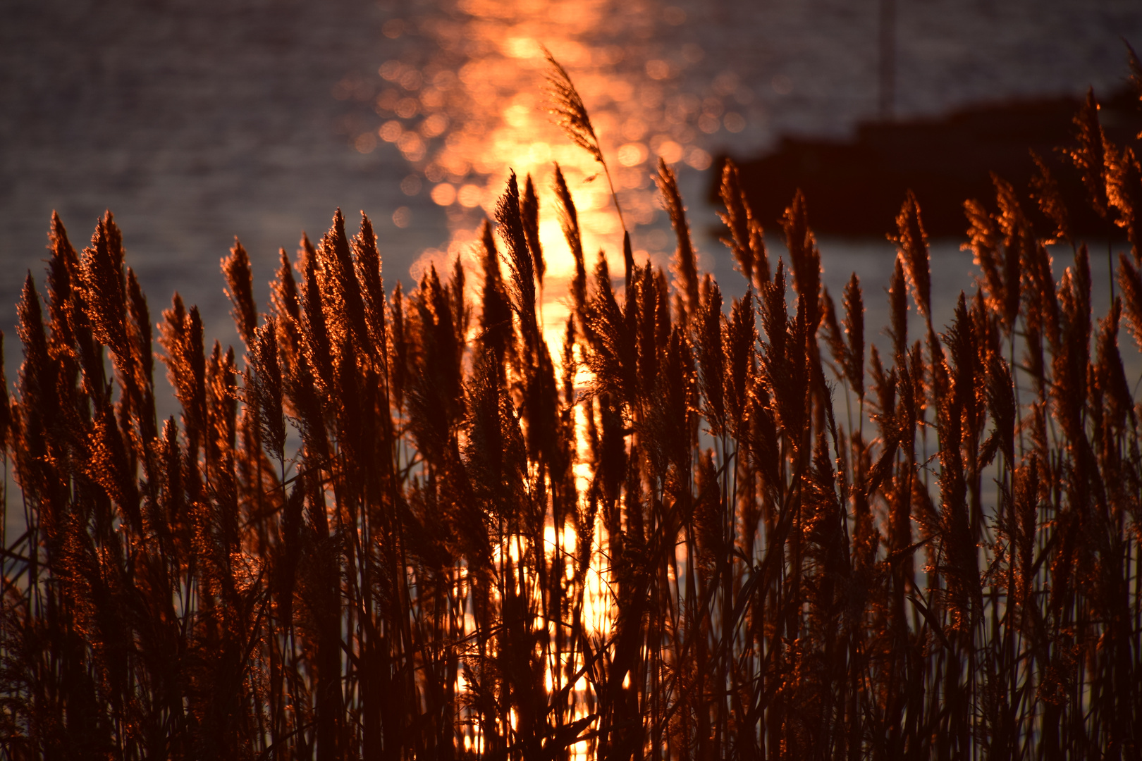 Sonnenuntergang Stralsund