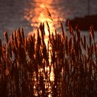 Sonnenuntergang Stralsund