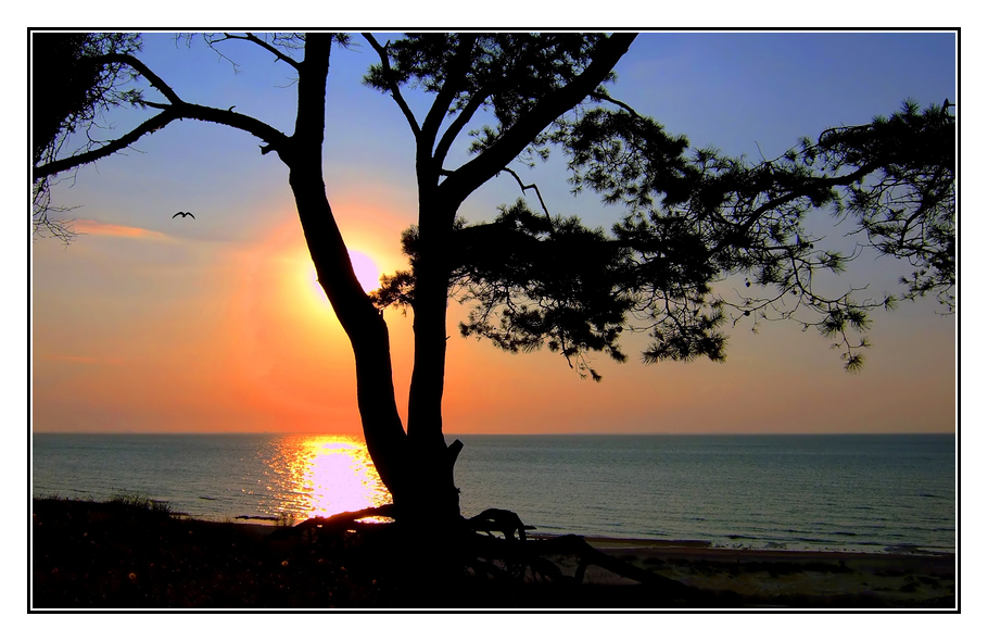 Sonnenuntergang, Strand Lubmin bei Greifswald