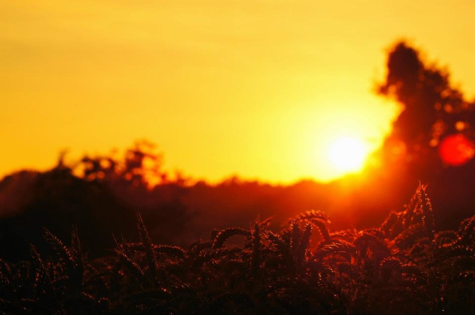 Sonnenuntergang Süd-Oststeiermark