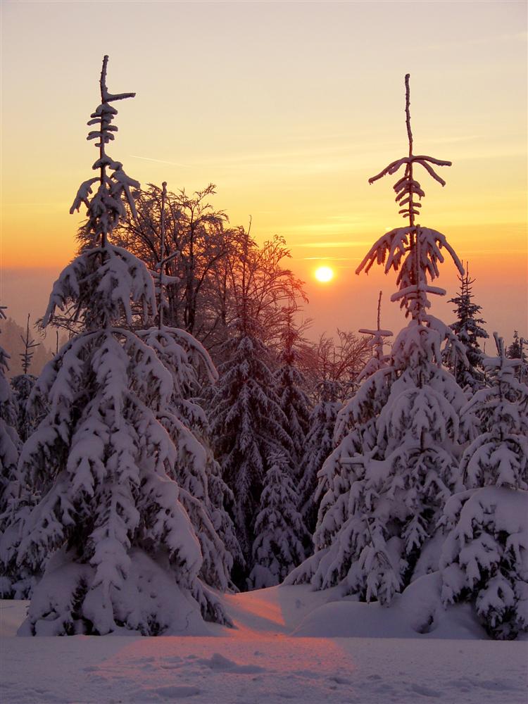 Sonnenuntergang Thüringer Winterwald