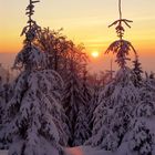 Sonnenuntergang Thüringer Winterwald