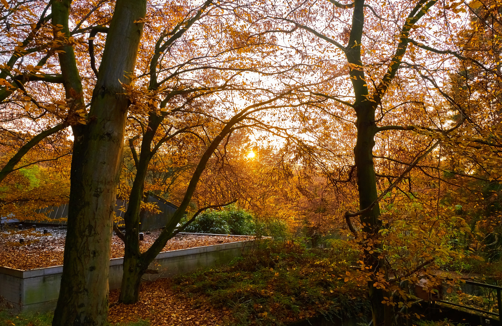 Sonnenuntergang Tierpark Wuppertal