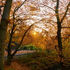 Sonnenuntergang Tierpark Wuppertal