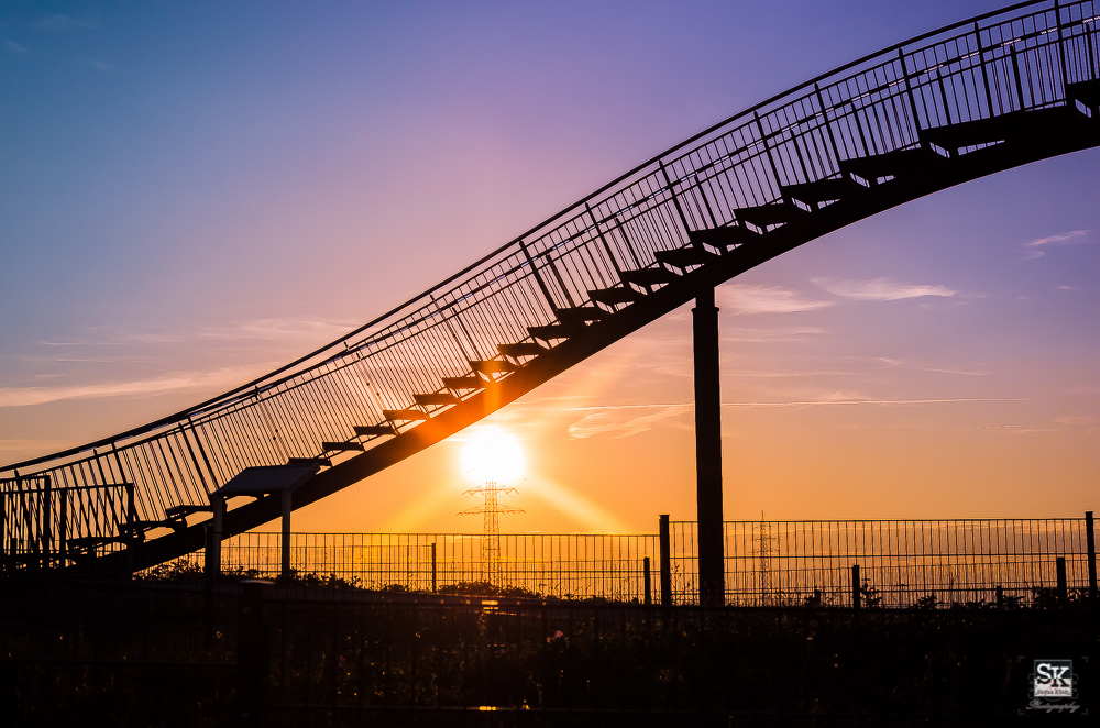 Sonnenuntergang Tiger and Turtle