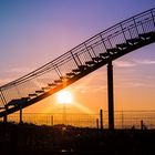 Sonnenuntergang Tiger and Turtle