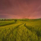 Sonnenuntergang Toskana-Italien