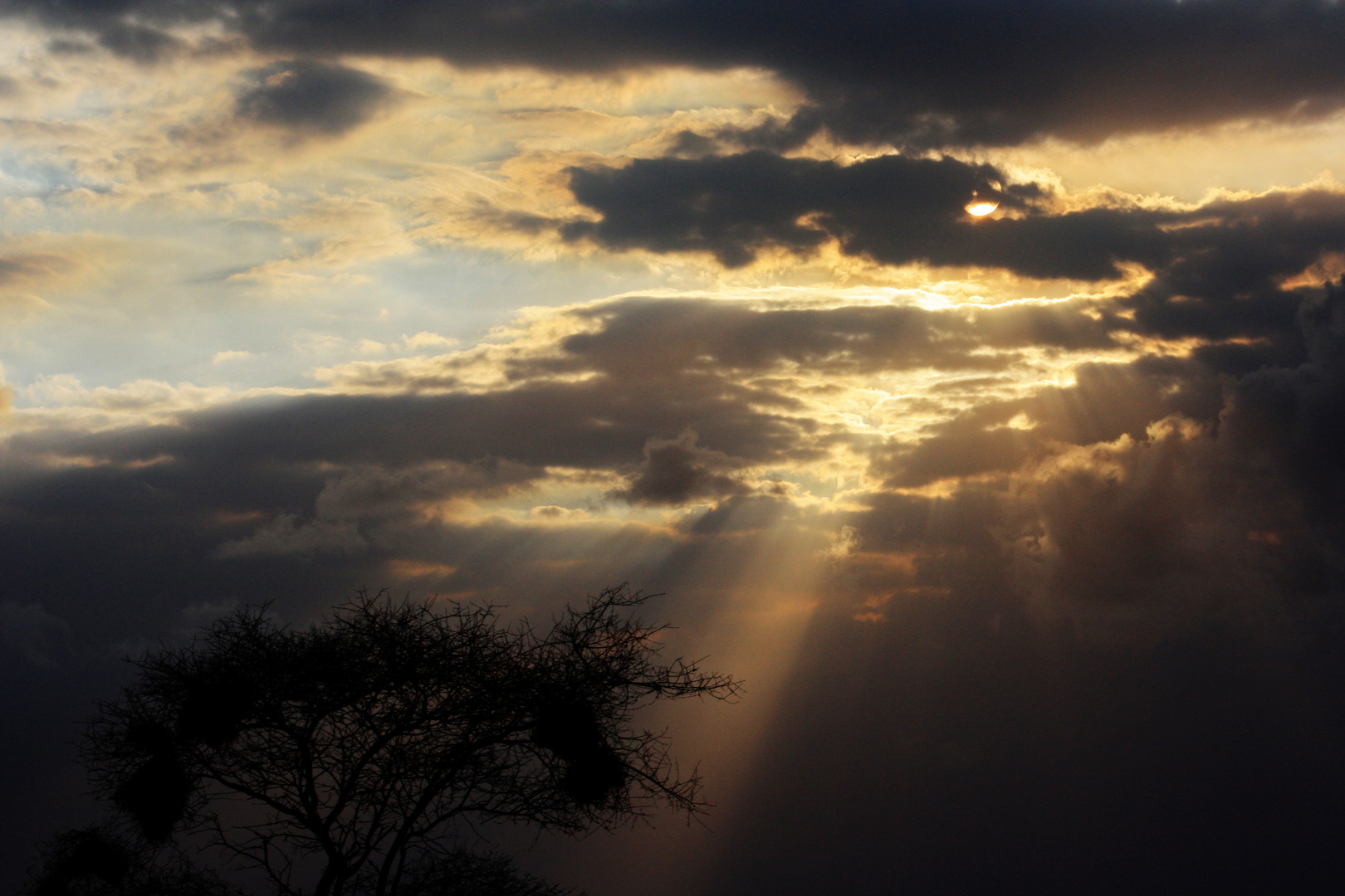 Sonnenuntergang Tsavo West