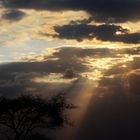 Sonnenuntergang Tsavo West