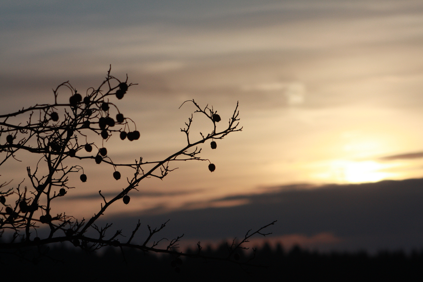 Sonnenuntergang über Bad Driburg