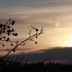 Sonnenuntergang über Bad Driburg