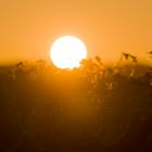 Sonnenuntergang über Bad Kreuznach IV