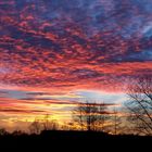 Sonnenuntergang über Bezgenriet