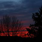 Sonnenuntergang über Bokeloh (Wunstorf)