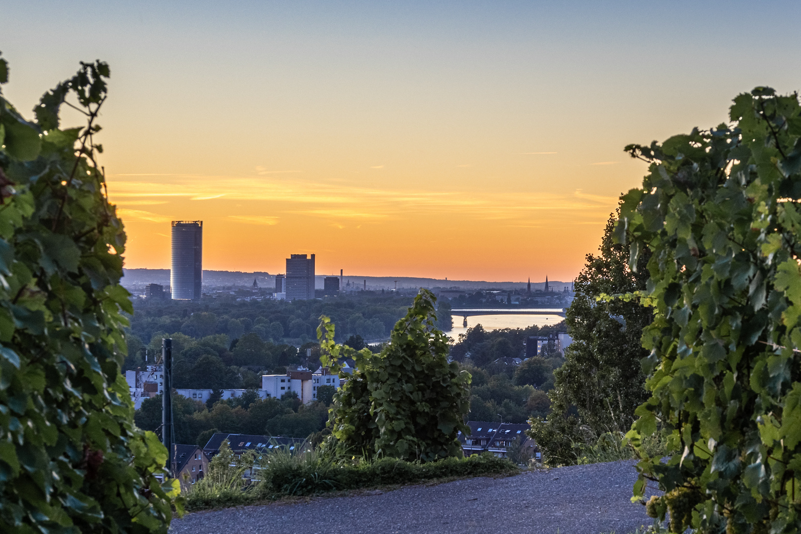 Sonnenuntergang über Bonn und der Köln-Bonner-Bucht