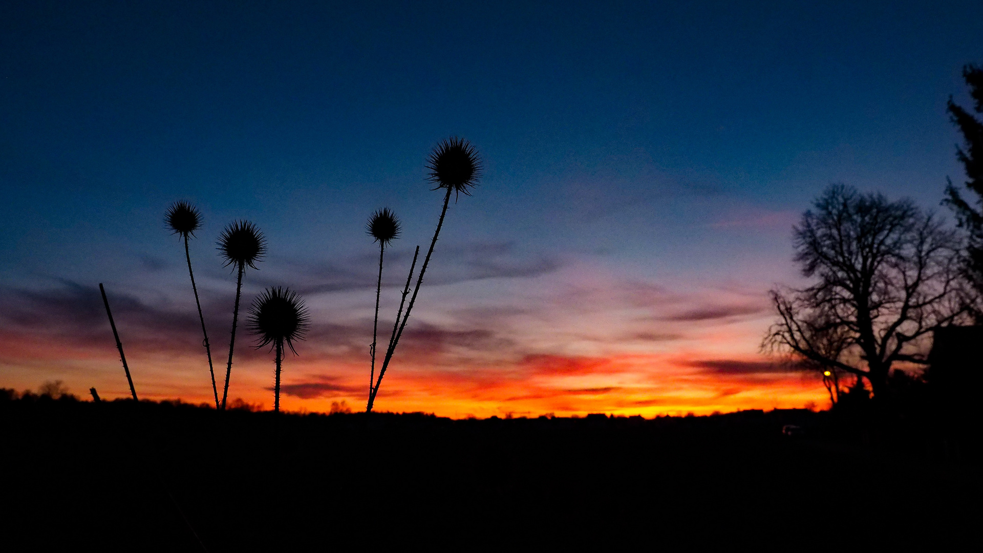 Sonnenuntergang über Dachauer Moos 