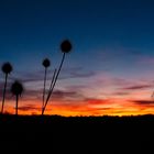 Sonnenuntergang über Dachauer Moos 