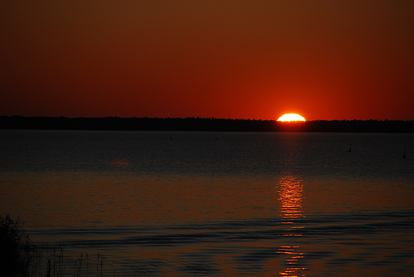 Sonnenuntergang über Darß..