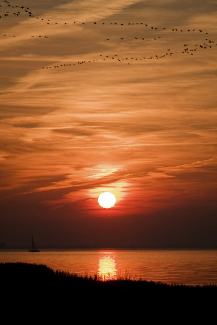 Sonnenuntergang über dem Bodden