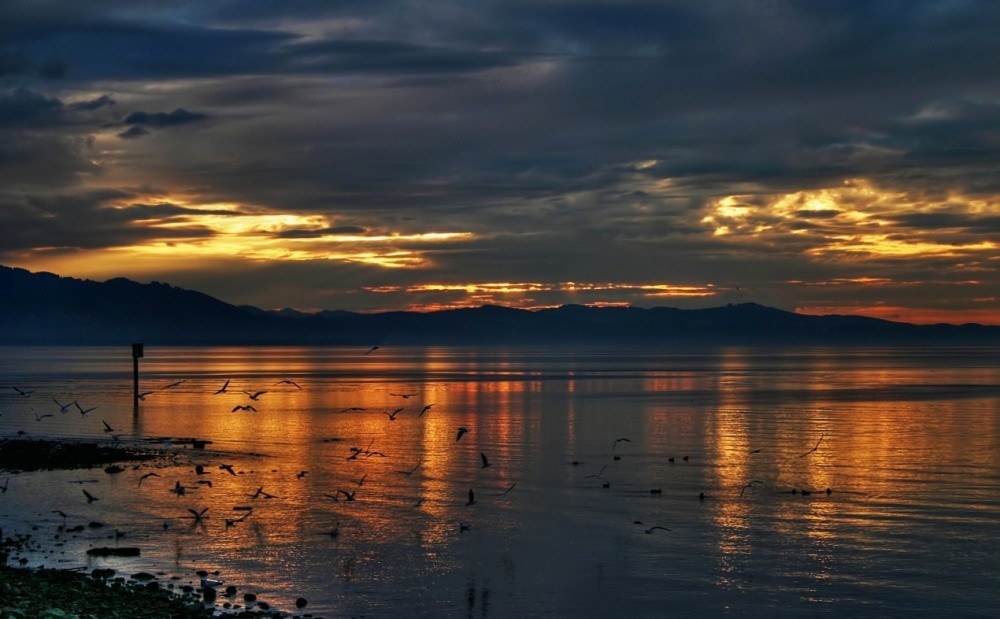 Sonnenuntergang über dem Bodensee