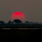 Sonnenuntergang über dem Chobe River