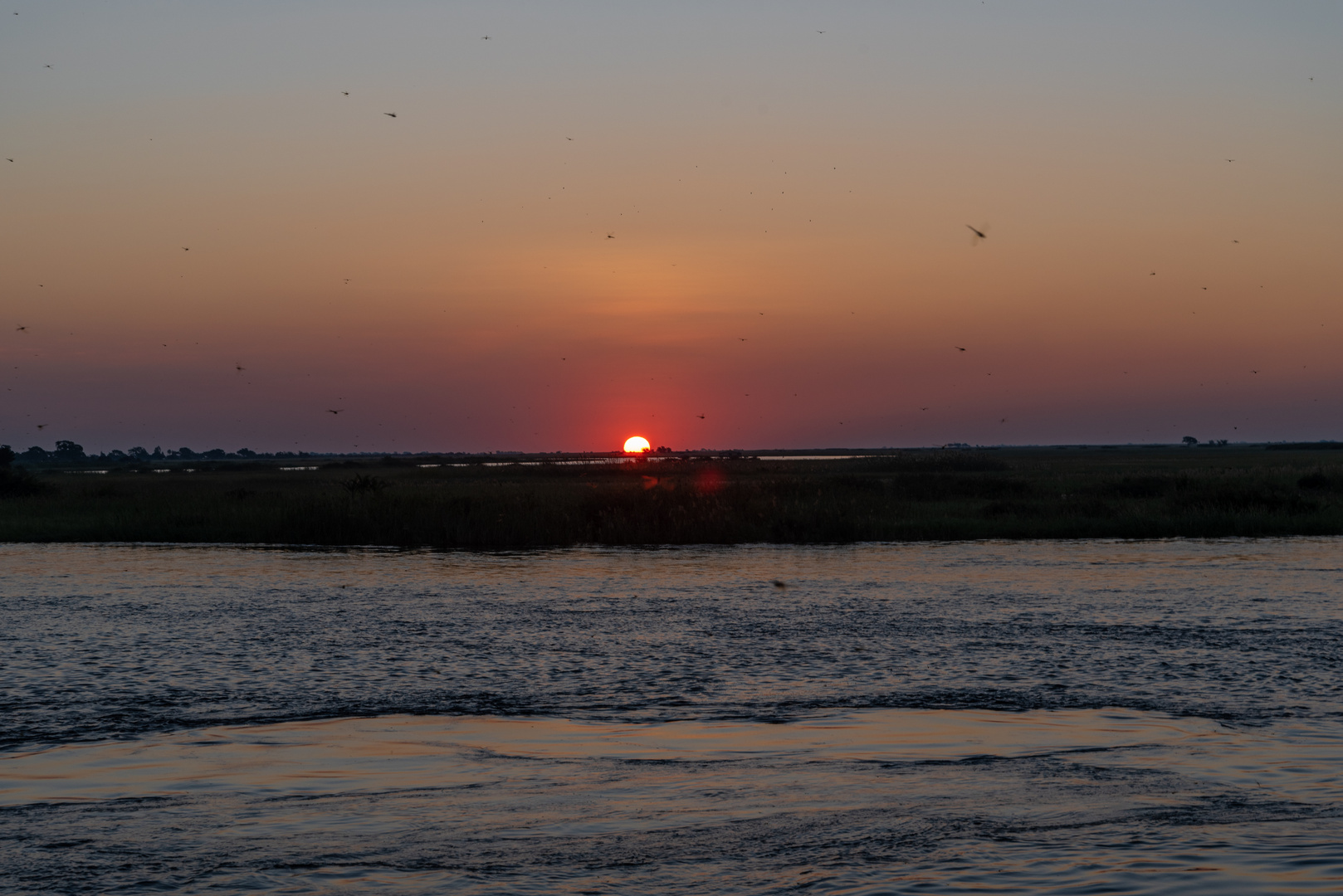 Sonnenuntergang über dem Chobe River