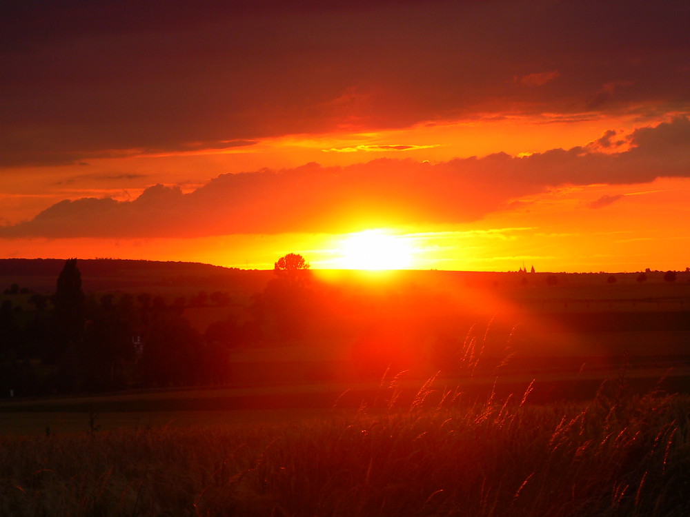 Sonnenuntergang über dem Elm