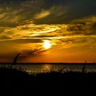 Sonnenuntergang über dem Etang des Launes (Camargue)