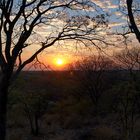 Sonnenuntergang über dem Etosha Park