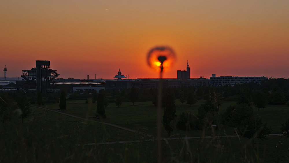 Sonnenuntergang über dem EXPOPARK Hannover