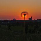 Sonnenuntergang über dem EXPOPARK Hannover