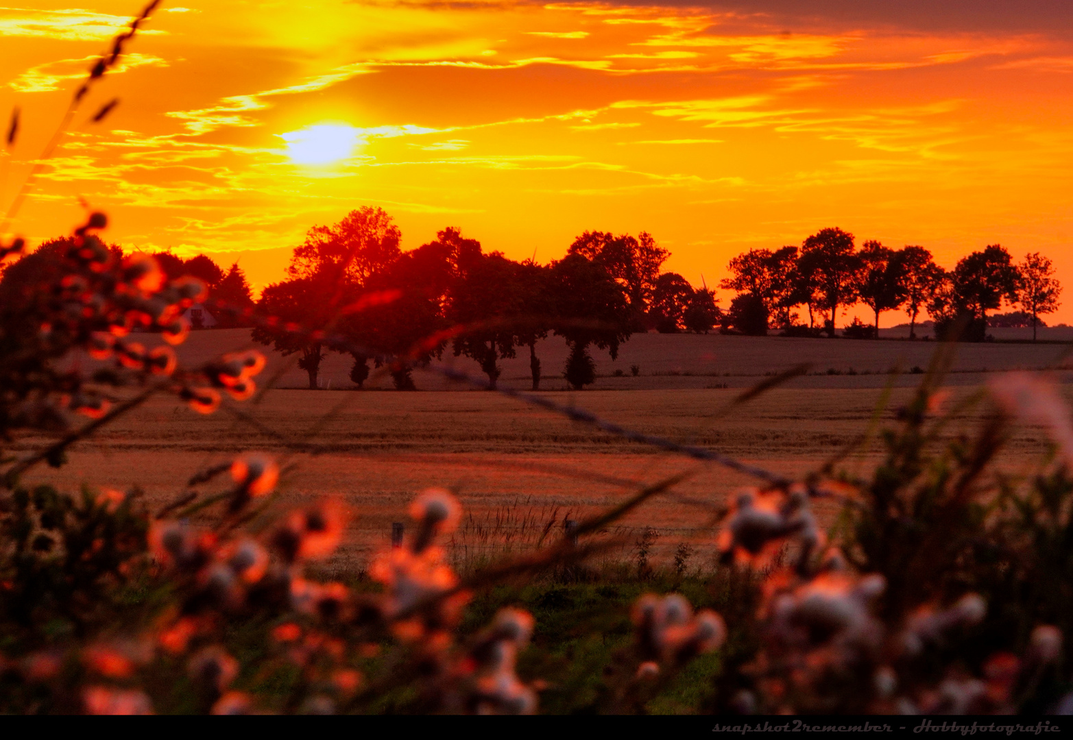 Sonnenuntergang über dem Feld