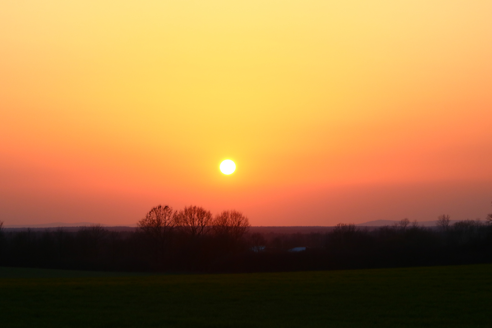 Sonnenuntergang über dem Feld