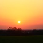 Sonnenuntergang über dem Feld