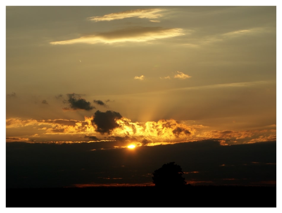 Sonnenuntergang über dem Feld