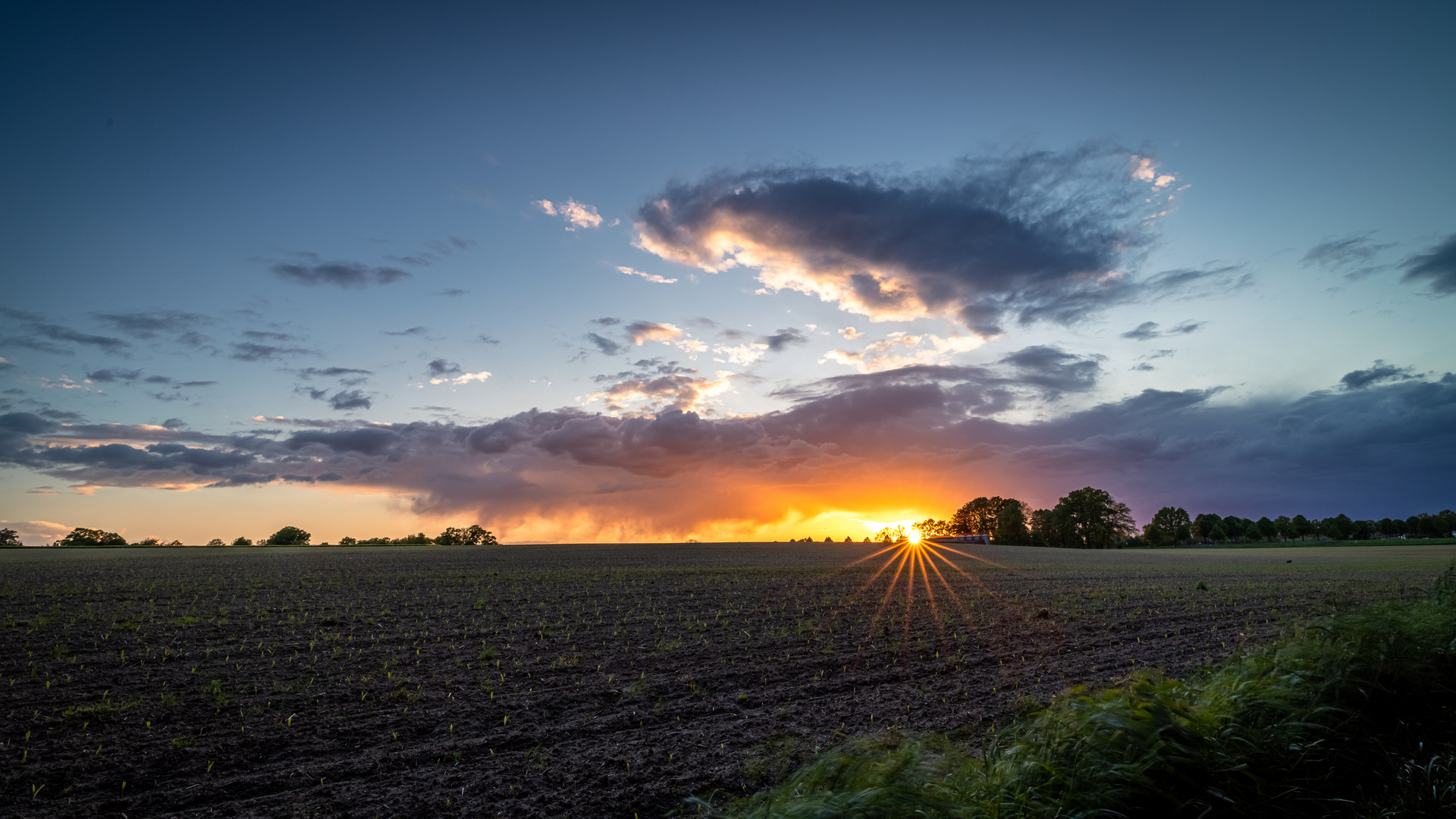 Sonnenuntergang über dem Feld