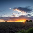 Sonnenuntergang über dem Feld