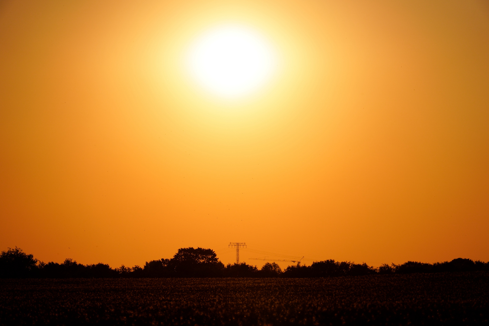 Sonnenuntergang über dem Feld