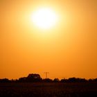 Sonnenuntergang über dem Feld