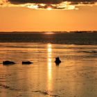 Sonnenuntergang über dem Gellen, Seehof auf Rügen